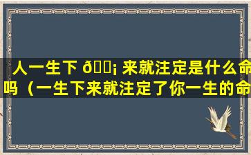 人一生下 🐡 来就注定是什么命吗（一生下来就注定了你一生的命运吗）